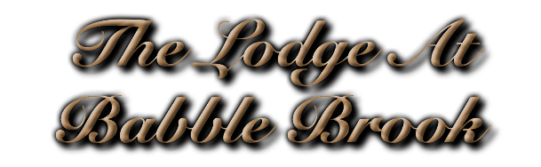 The Lodge At Babble Brook
